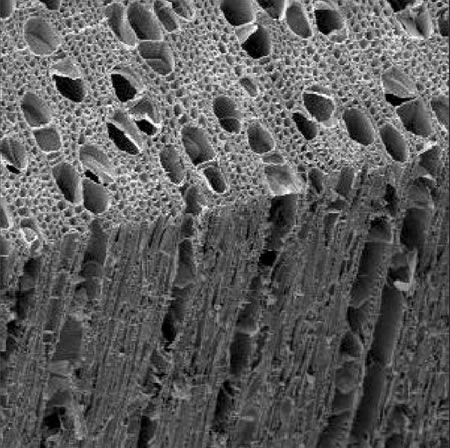 Odolnos� podl�h proti p�sobeniu vlhkosti a vody