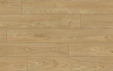 EUPHORIA AQUA protect 4V 56601 DUB CATANIA