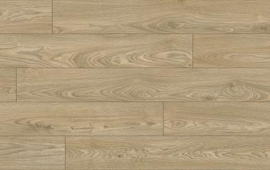 EUPHORIA AQUA protect 4V 56605 DUB EMBER