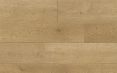 GUARDIAN 65361 DUB ARDEN 5 + 1 mm