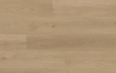 GUARDIAN DRYBACK 965319 LORIAN