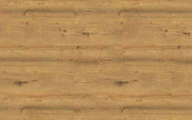 SPECTRA TITAN OAK 09W